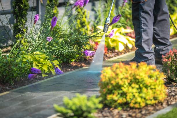 Trusted Fabens, TX Pressure Washing Services Experts